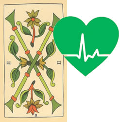 2 tarot wands health