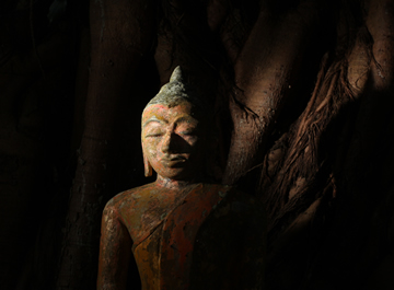 el budismo tibetano