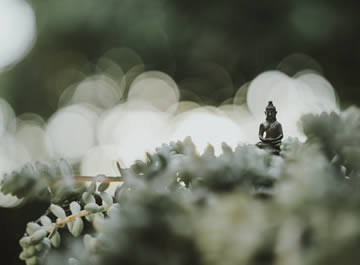 zen and meditation 