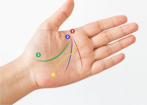 hand reading hands