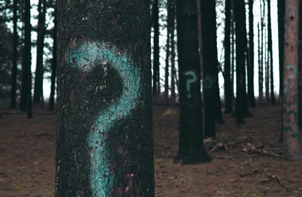 Ask very generic questions