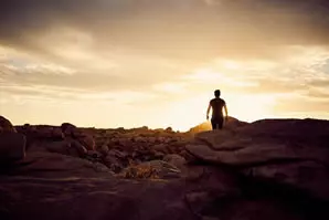 tarot del destino